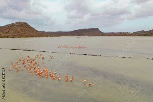 Aerial photos of the Flamingos in Curaçao