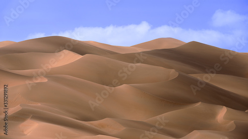 Desert shapes and camels