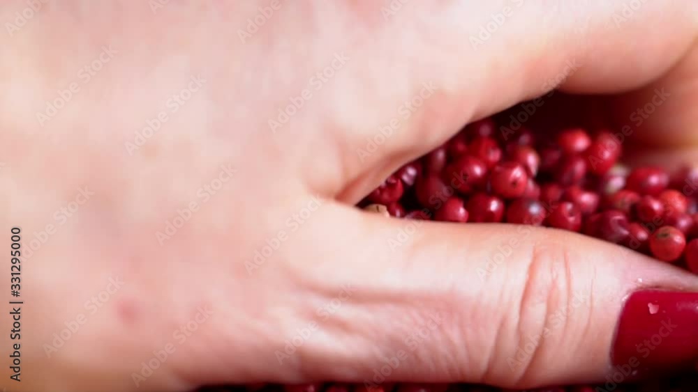 pink peppercorns placed on a kitchen table. Rotation. Falling. Extreme macro of a Himalayan pepper berries. concept of fresh and dietary spices for cooking schools and vegans and dietary products. pink peppercorns placed on a kitchen table. Rotation. Falling. Extreme macro of a Himalayan pepper berries. concept of fresh and dietary spices for cooking schools and vegans and dietary products.