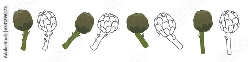 Fototapeta Set color icon and doodle icon with artichoke . Agriculture illustration. Vintage style sketch on white background. Vector autumn drawing food. Hand drawn style. Vector illustration art. Farm product.