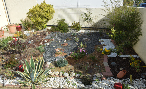 Jardin : un petit coin avec fleurs et plantes grasses.