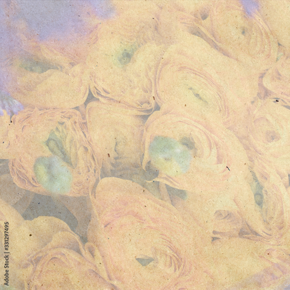 Fototapeta premium Design card from bouquet of white pink purple Ranunculus.