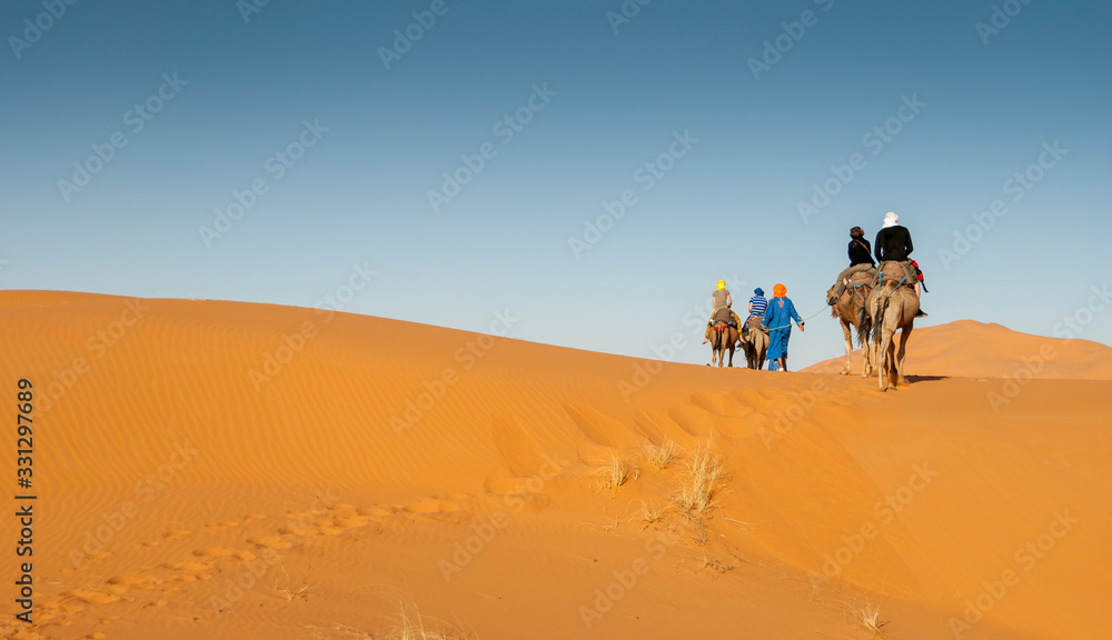 Camel riding at Erg Chebbi (Morocco) during sunset