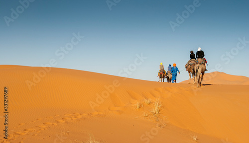 Camel riding at Erg Chebbi (Morocco) during sunset