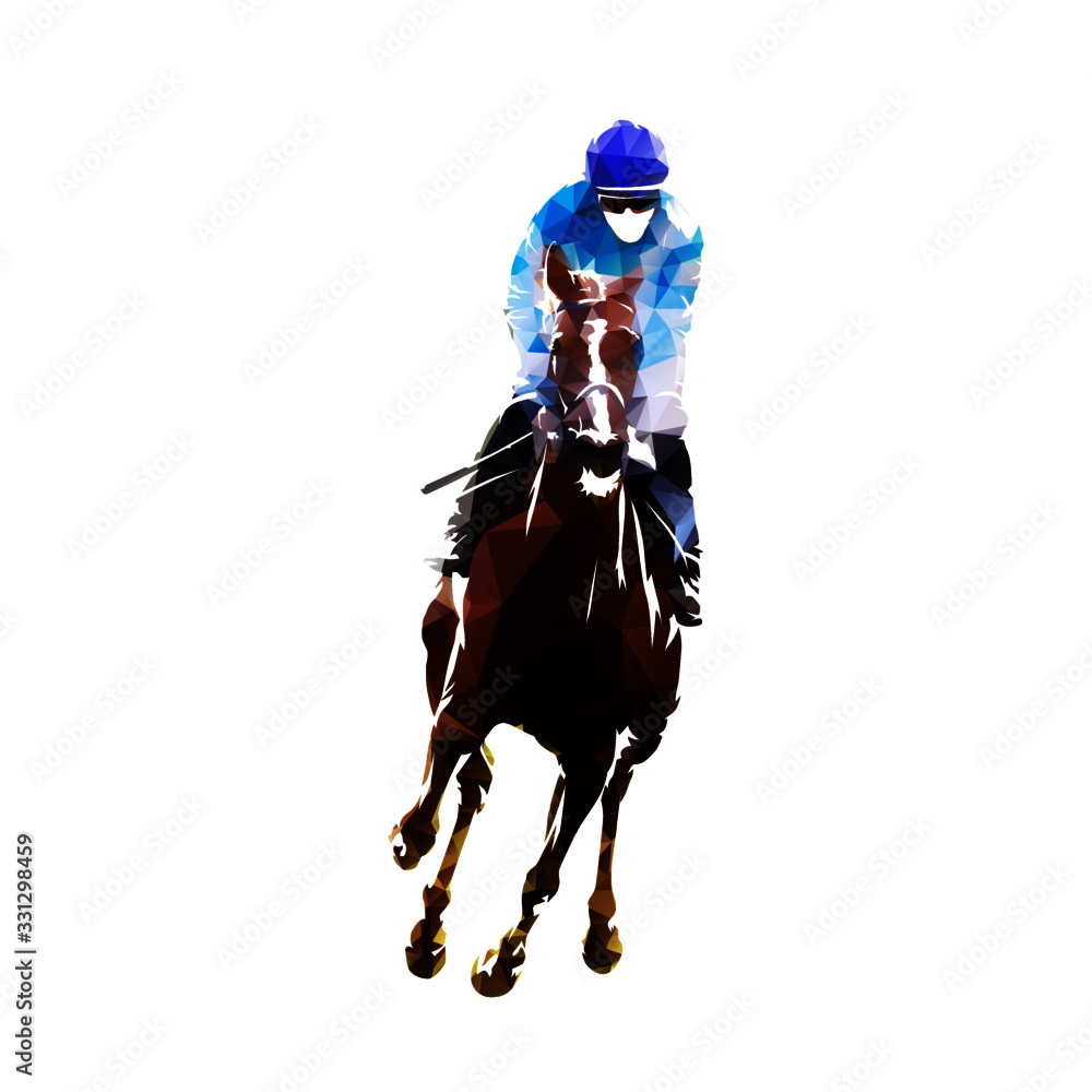 Fototapeta premium Horse racing, equestrian. Isolated low poly vector illustration