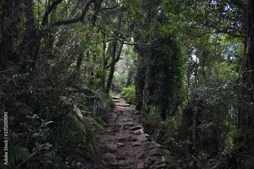 Mount Danger