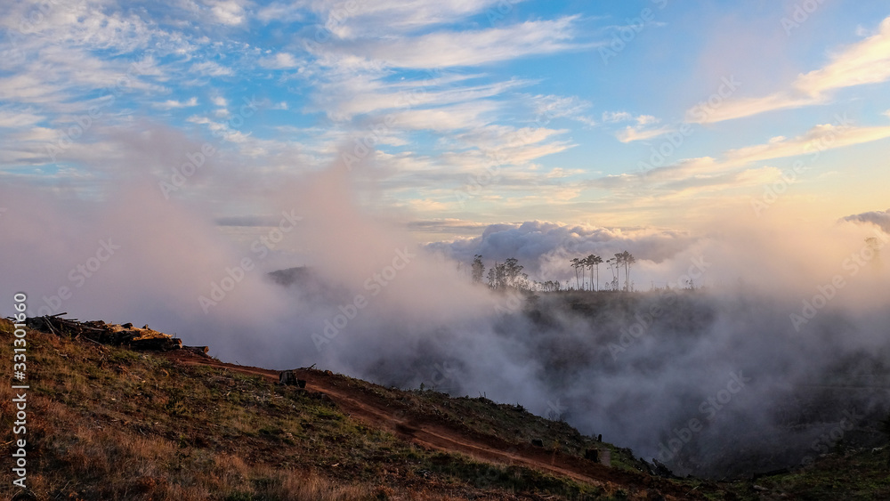 Fototapeta premium Nationalpark