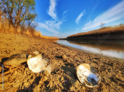 River Begej . Zrenjanin, Vojvodina, Serbia photo