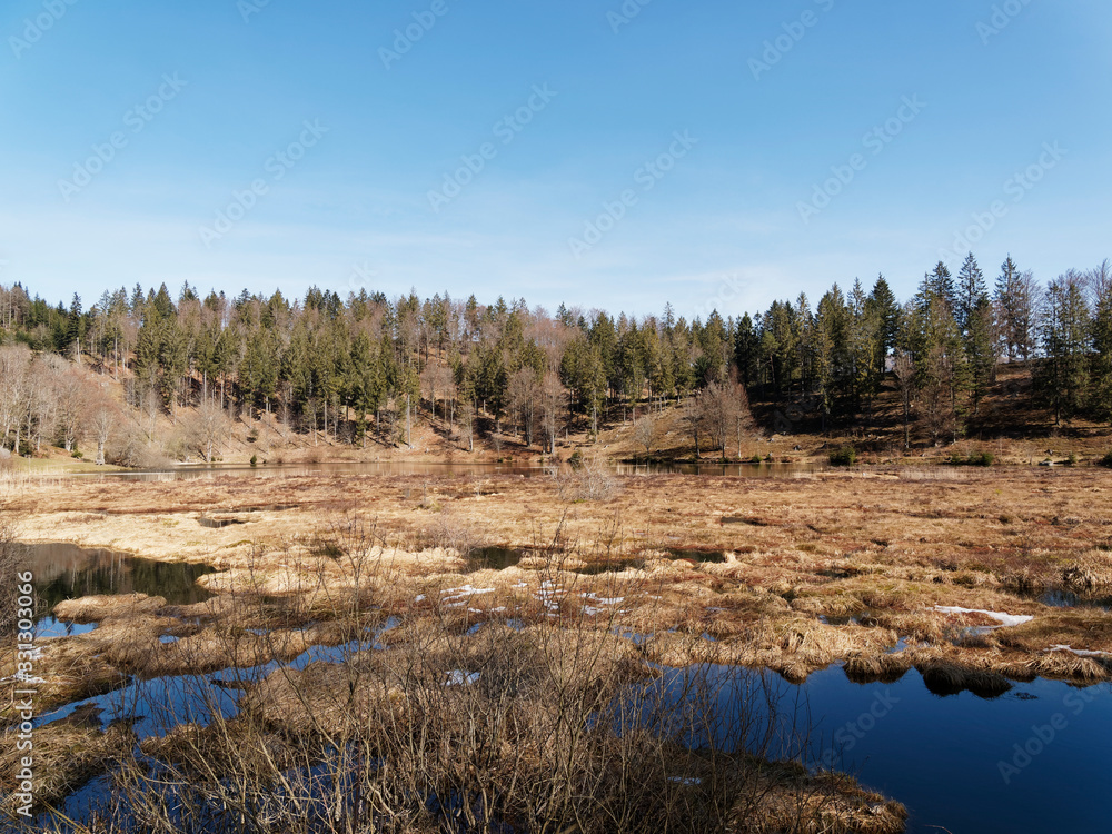 Beautiful bog on the surface of Nonnenmattweiher lake in the Southern Black Forest, landscape in south Germany