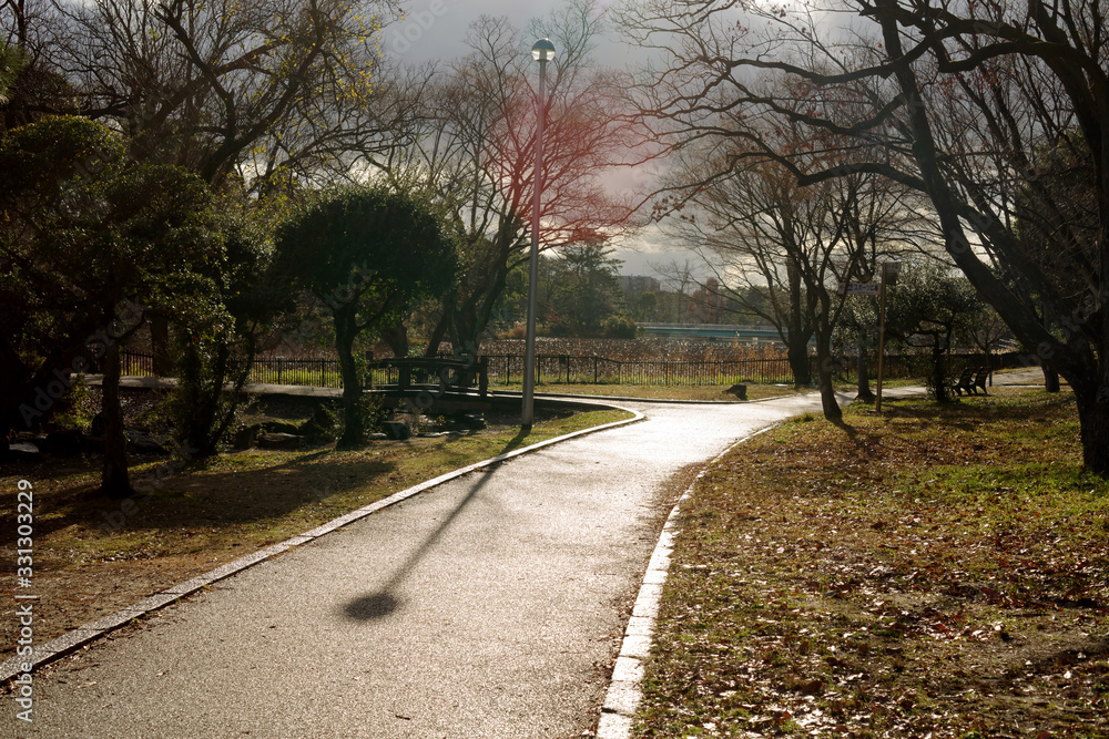 Naklejka premium 雨上がりの服部緑地・濡れるアスファルトの照り返しと公園の風景
