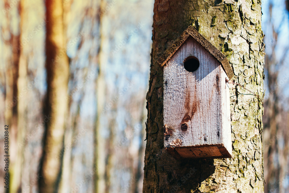 wooden bird house on a tree, forest without leaves