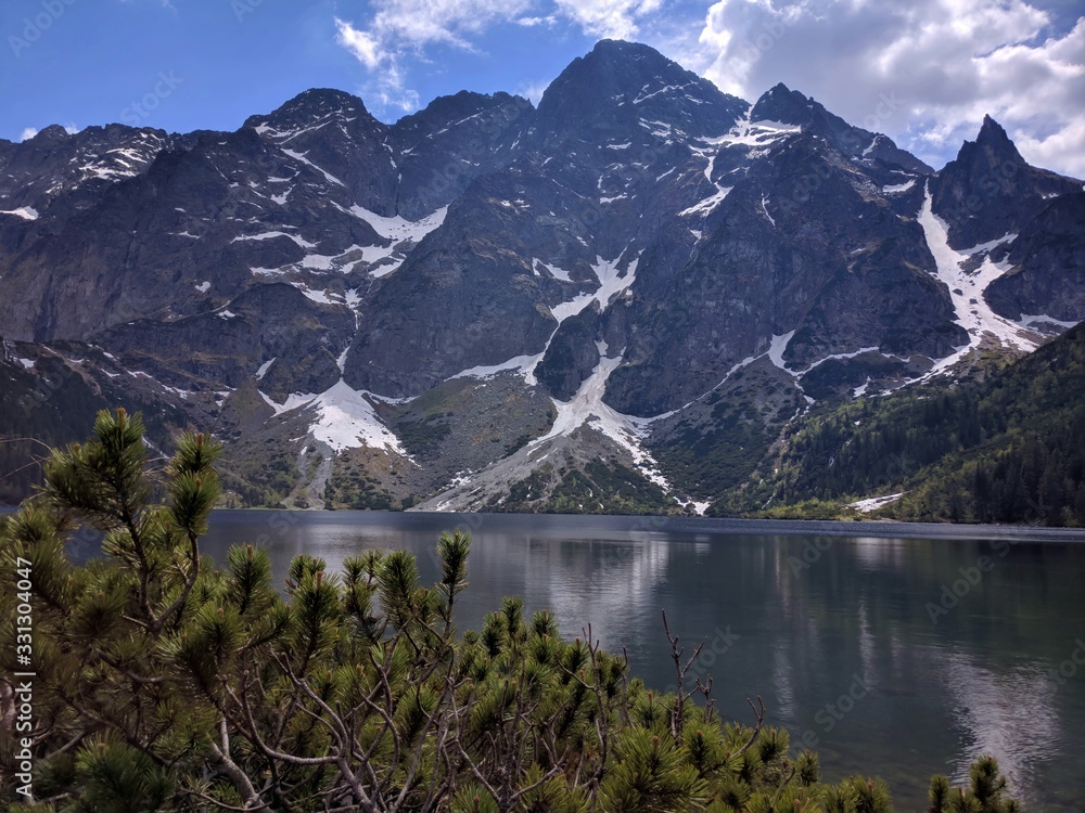 Image of pine branches, Morskie Oko Lake and Rysy Mountain