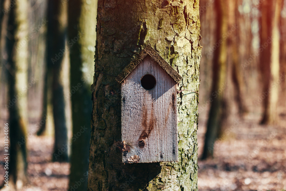 old bird house hanging on a tree in the forest, handmade