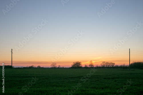 A line of electric poles with cables of electricity in a field with a forest in background in sprimg time during sunset.