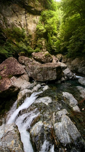 waterfall in forest © 淳史 川北