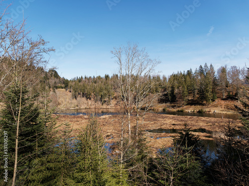 View on peat island on the Nonnenmattweiher lake in the Southern Black Forest in Germany