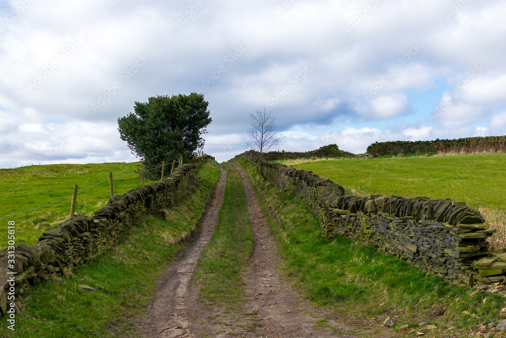 Dirt road in the countryside