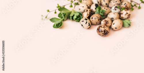 Overquail eggs with young sprigs of green plants on a light background.