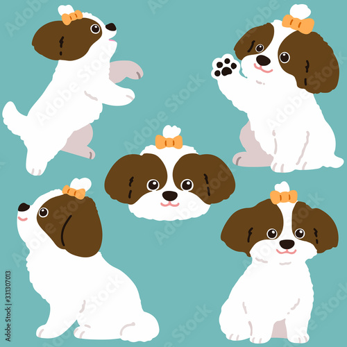 Set of flat colored brown Shih Tzu dog illustrations