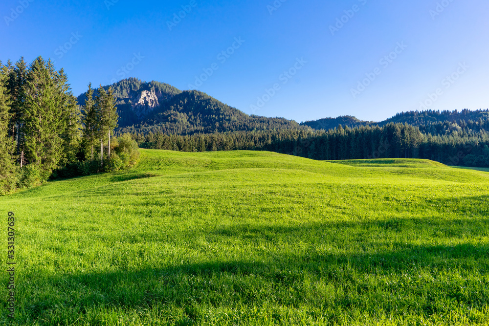 grass sunset