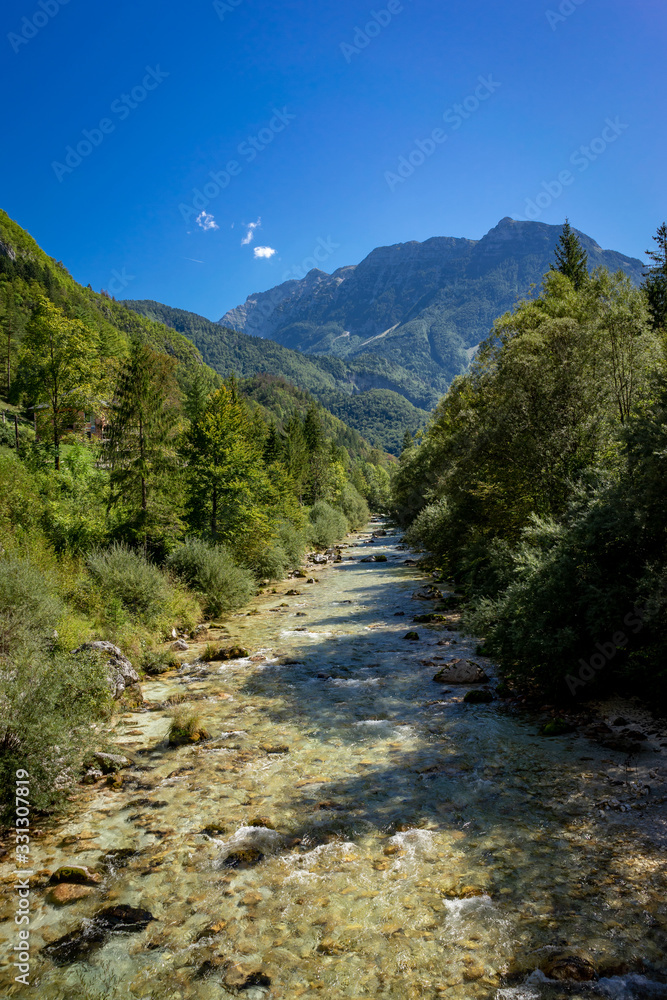 Obraz premium river in the mountains