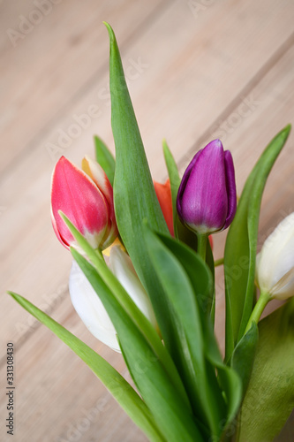 Wundersch  ne Tulpen zu Ostern