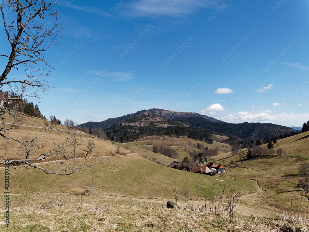 Obraz premium Around the lake of Nonnenmattweiher, beautiful hiking place with view on village Haldenhof and Belchen massif in Black-Forest, south Germany