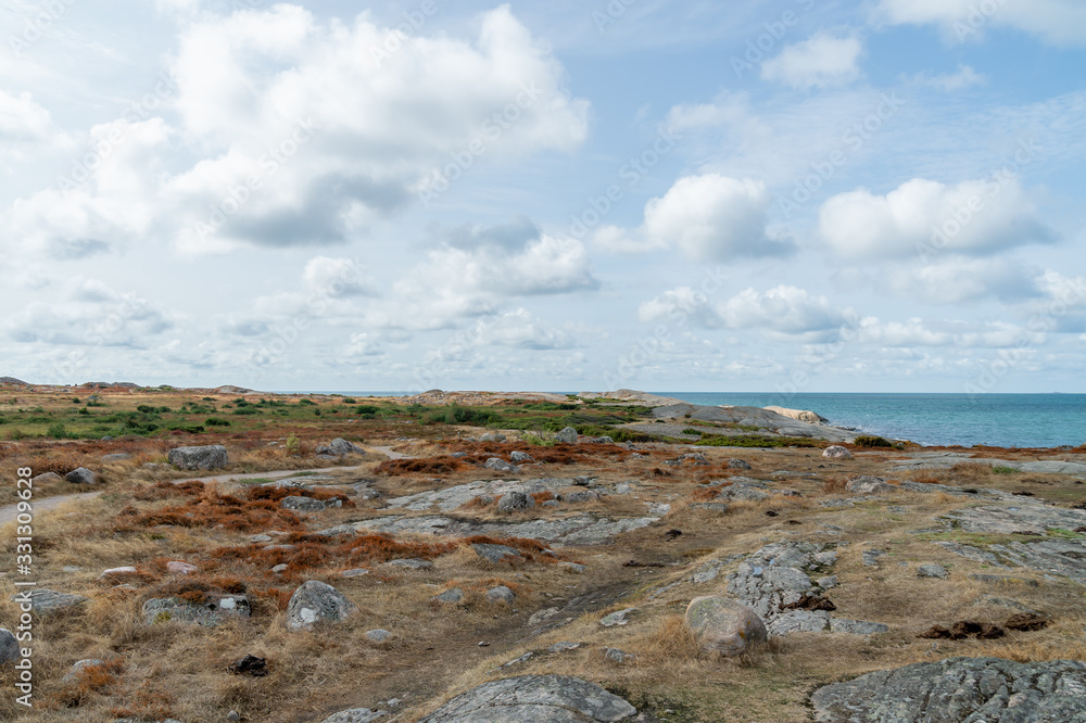 Dried archipelago landscape, brown heather, in Sweden, long warm summer without rain. Heather is dry and brown instead of purple. Other bushes are still green. Blue sky with white clouds.