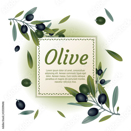 Organic natural food olive tree branch background vector illustration