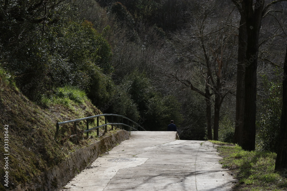 Path in a forest close to Bilbao