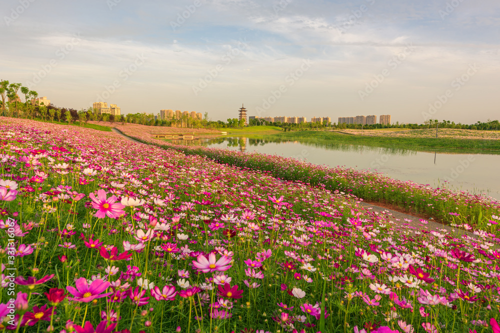 Beautiful spring in Wuhan, Hubei Province, China.