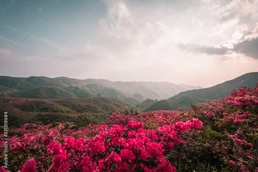 The natural scenery of China in spring. The natural scenery of China in spring.