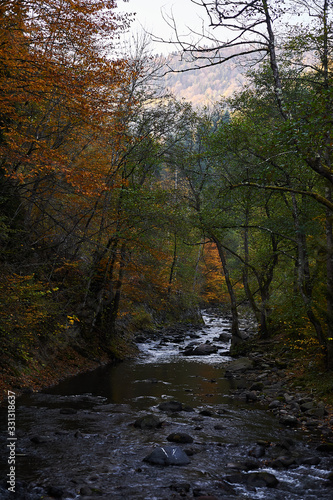 River full of autumn leaves seen from riverbank © sergograph