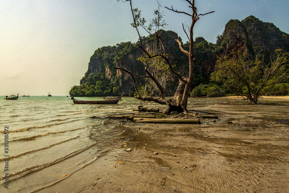 Küstenlandschaft in der Bucht von Railay Bay-Krabi-Thailand