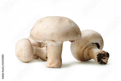 White Common Mushrooms from mount Etna in Sicily, Italy – Champignon Variety – Isolated on White Background