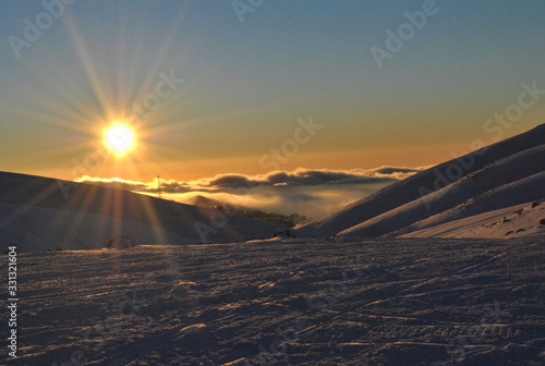 Winter landscape