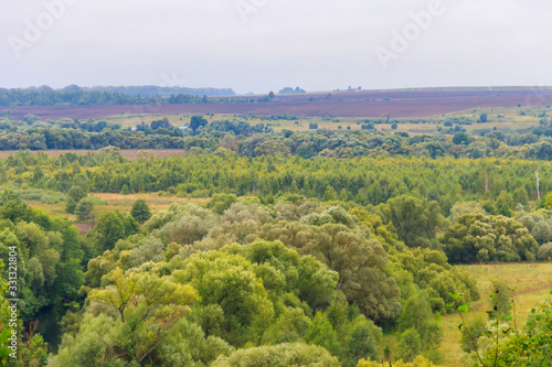 Summer landscape with green hills  trees and fields