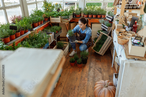 Billede på lærred Dark-haired young horticulturist staring at a plant
