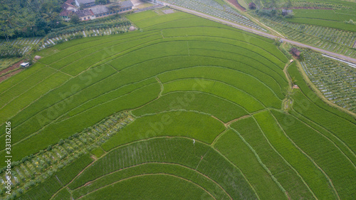 Aerial view of paddy field at Temanggung, Indonesia. Agriculture landscape. Aerial photography. © Nasrul Ma Arif