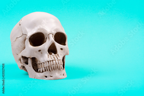 Skull for background with halloween, medicine, anatomy. Human skull on a turquoise background, isolate. Side view, place for text, copy space
