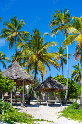 Tropical beach with coconut palm trees on the island of Zanzibar, Tanzania, Africa. Travel and vacation concept