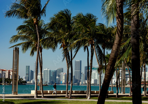 Miami Skyline and Port of Miami with Palm trees. © ENRIQUE