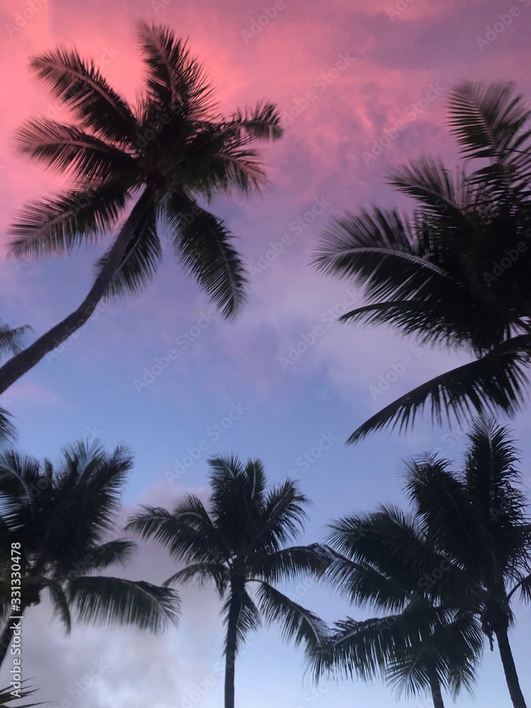 Cotton Candy Skies