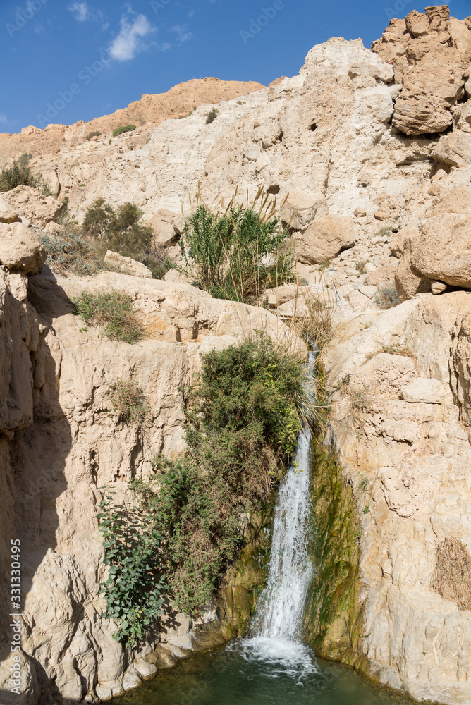 Ein Gedi National Park at Southern Israel Ein Gedi National Park at Southern Israel