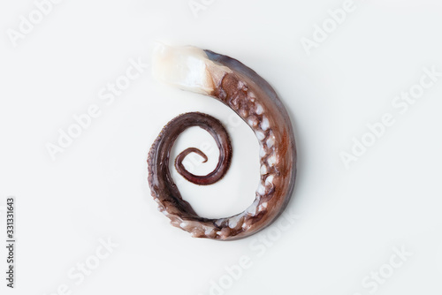 Fibonacci Octopus
