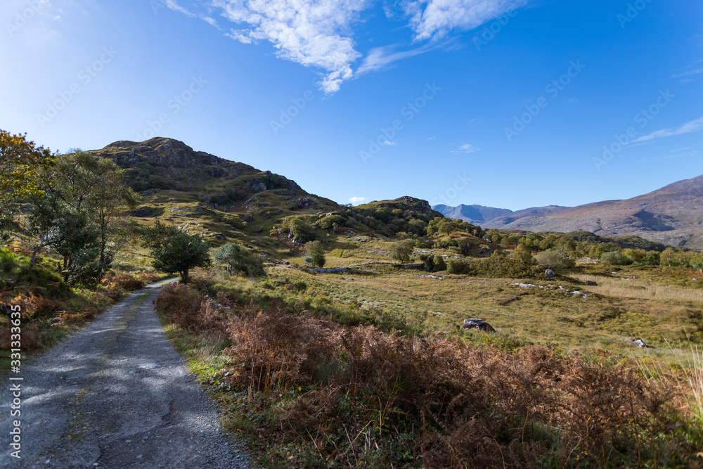 Old rural roadway through scenic landscape of  Killarney national park