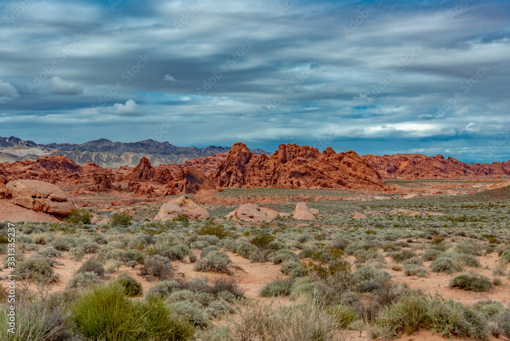 Fototapeta premium Valley of Fire