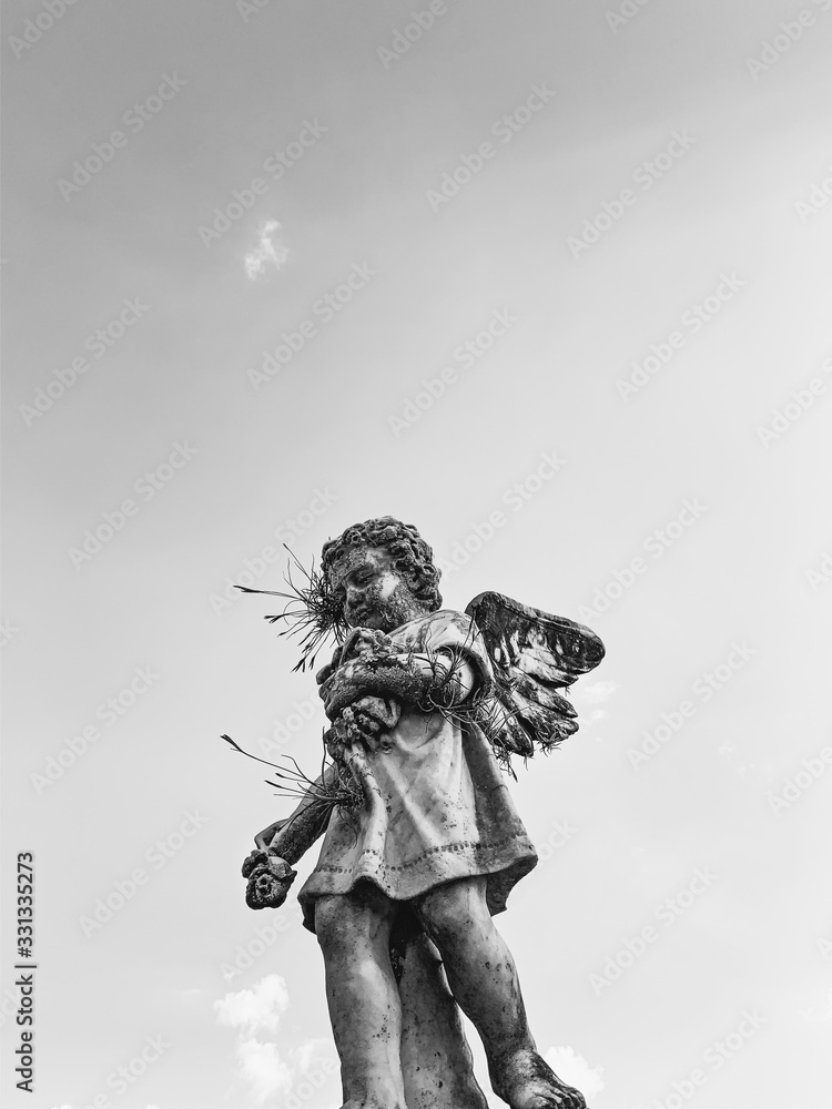 statue of an angel on background black and white