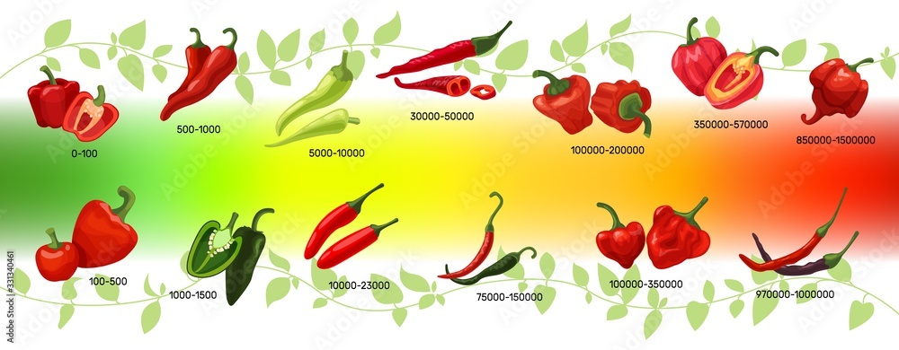 Scoville scale of chilli peppers infographic vector illustration. Heat  units for red and green chili pods, spicy, mild and extreme hot taste level  score. Scalable spice peppers on multicolor gradient Stock Vector