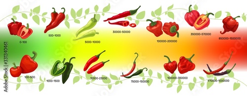 Scoville scale of chilli peppers infographic vector illustration. Heat units for red and green chili pods, spicy, mild and extreme hot taste level score. Scalable spice peppers on multicolor gradient photo